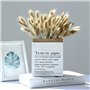 HUAESIN 100 Pcs Queue de Lapin Fleur Séchée Naturelles Plante Artificielle Bouquet Herbe Sèches D'Herbes de Lapin Florales Arran