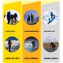Cyclisme