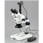 3.5 x -45 x microscope trinoculaire Dissecting Zoom microscope stéréo avec 144-led 4 zones lumière