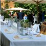Ailler 20x Serviettes de Table Coton 50x50cm, Serviettes de Table en Tissu Lavable en Machine, Serviettes de Table Mariage Doux,