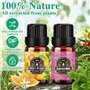 MOYKSRR Ensemble D'huiles Essentielles, Huiles Essentielles 20 x 10 ML, Huiles Essentielles Aromathérapie 100% Pures pour Diffus