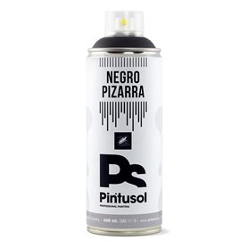 PINTUSOL Bombe Peinture Tableau Noir pour Craie