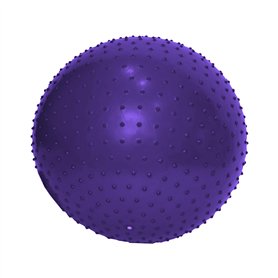 ENDLESS Ballon de Yoga Anti-éclatement de 65 cm | Ballon d'exercice en PVC épais pour Fitness