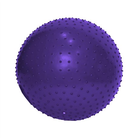 ENDLESS Ballon de Yoga Anti-éclatement de 65 cm | Ballon d'exercice en PVC épais pour Fitness
