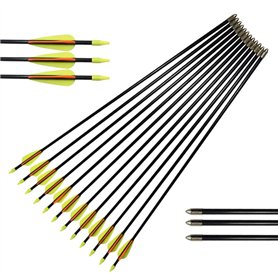 Flèches en Fibre de Verre Flèches d'entraînement 30 Pouces avec Tube de Support de flèche Arcs Classiques en Verre de sécurité a