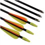 Flèches en Fibre de Verre Flèches d'entraînement 30 Pouces avec Tube de Support de flèche Arcs Classiques en Verre de sécurité a