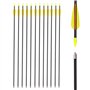Flèches en Fibre de Verre Flèches d'entraînement 30 Pouces avec Tube de Support de flèche Arcs Classiques en Verre de sécurité a
