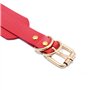 Aabellay Collier Ras du Cou Gothique en Cuir PU avec Coeur - Style Punk Rock, Taille Réglable - Rouge et Or, Similicuir Polyurét