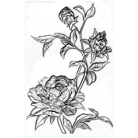 Sizzix 665632 Chemise de gaufrage à Texture 3D Motif Mini Roses par Tim Holtz