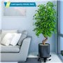 Skelang Support de pot de fleurs à roues, 33cm support roulant plantes, support pour plante avec récipient d'eau pour le jardin,