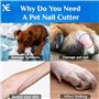 XE Acier Inoxydable Coupe-Ongles à Poignée Antidérapante pour Animaux de Compagnie avec Protection, Coupe-Griffes pour Chat et C