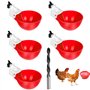 Abreuvoir pour Poules