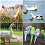 Abreuvoir pour Poules, 5 Pièce Abreuvoirs Automatiques Kit DIY Abreuvoir Poules Abreuvoir Poule avec scie à Trou de pour Poussin