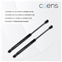 Jeu de 2 amortisseurs ou ressorts à gaz pour lit coffre 1150N boule-clip - Idéal pour lit coffre 135 cm - Cuens