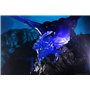 WizKids D&D Icons of The Realms: Sapphire Dragon Premium Figure