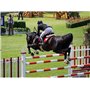 Prairie Horse Supply Batte de Saut de Luxe 18 Pouces cravache d'équitation Cheval Anglais équestre avec Manche en Fibre de Verre