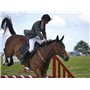 Prairie Horse Supply Batte de Saut de Luxe 18 Pouces cravache d'équitation Cheval Anglais équestre avec Manche en Fibre de Verre