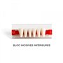 DENTS ARTIFICIELLES - HAUT ET BAS 12 DENTS pour appareils dentaires en résine