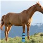 yeezo Sac de trempage pour Sabot de Cheval pour Traiter Les problèmes Courants du Sabot avec Coussinet en EVA