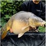 CarpeXpert - Pop-up Tropical Tundra - 15mm - Bouillette Flottante Boosté & Hyperprotéiné - Diffusion Continue sur 22h+ - 50g - A