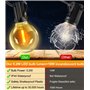 Seklin Guirlande Lumineuse Exterieure Led 60M - Guirlandes Guinguette Exterieur avec Télécommande Dimmable G40 Étanche Ampoule B