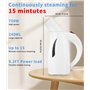 Defroisseur Vertical Portatif pour Vêtements Fast Wrinkle Remover