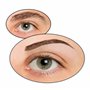 Best Direct Velform Brows comme vu a la TV Stylo Epilateur Sourcil Electrique pour Femme, Epil Precision Plaque Or indolore Flaw