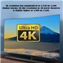Adaptateur combiné CY Micro Mini HDMI vers HDMI 1.4 Femelle 2-en-1 4K à 60 Hz