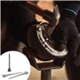 HJIAMA 40 Pièces Clou de Fer à Cheval, 54 mm Clous pour Sabots, Acier Carbone Fer à Cheval Clous, pas Facile Rouiller, Accessoir
