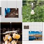 100Pcs Pince a Rideaux en Acier Inoxydable Pinces à Rideaux en Métal avec Crochets pour Suspendre des Accessoires, Photos de Lum