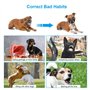 Convient aux Chiens de Tail