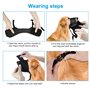 WuGu Museliere pour Chiens, Muselière en Nylon Réglable, Muselières Chiens Confortable et Respirant, Convient aux Chiens de Tail