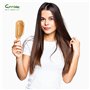 Brosse Demelante Cheveux en Bambou pour Massage du Cuir Chevelu et Poignée Ergonomique et Peigne Cheveux Antistatique Peigne à D