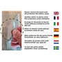 Lot de 5 x A4 Présentoirs de Table | Porte-menu A4 | Porte-affiche de Table | Présentoirs A4 | Porte-dépliant A4 | Idéal pour le