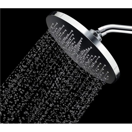 Pommeau de douche