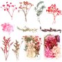 Fleurs Pressées Séchées 2 Boîtes Vraies Fleurs Séchées Naturelles Multicolores Feuilles Séchées Pressées Exquises Mélanges pour
