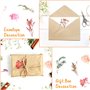 Fleurs Pressées Séchées 2 Boîtes Vraies Fleurs Séchées Naturelles Multicolores Feuilles Séchées Pressées Exquises Mélanges pour 