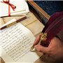Hethrone Quill Pen Feather Pen Ensemble de Stylos de Calligraphie Ensemble de Stylo Plume et D'encre