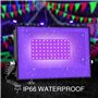 Projecteur LED Ultraviolet avec Prise