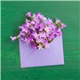 Lot de 60 mini enveloppes aux couleurs assorties avec 2 feuilles d'autocollants à faire soi-même, petites enveloppes assorties p