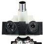 Omax 40 x-luminosité X LED Digital Microscope trinoculaire Lab composé microscope avec appareil photo 1,3 Mp et mécanique Stage
