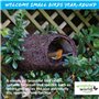 Simon King Brushwood Robin Nester