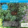Simon King Brushwood Robin Nester