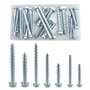Kit de 25 boulons d'ancrage autotaraudeuses pour béton (M6/M8/M10)