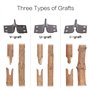 MoPei 2-in-1 Jardinage Ciseaux de Greffage avec 3 Lames Type U, Type V,Type Ω, Parfait pour la Greffe d'arbres Fruitiers.
