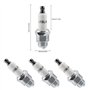 adaptées aux modèles Briggs & Stratton 796112