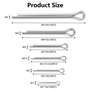 230 Pièces Goupilles Fendues en Acier Inoxydable Goupille de Retenue Assortiment Kit avec Boîte D'assortiment en 6 Tailles Diffé