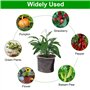 4 Pièces Panier de Protection des Racines des Plantes en Acier Inoxydable 35 x 35cm Sacs en Maille Métallique Anti-Campagnol Pan