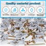 Mynoozi 200 Pièces Fixations pour Plaques de Plâtre (100 Chevilles + 100 Vis), Chevilles pour Plaque de Plâtre et Vis, Fixations