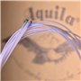 Aquila NEUF Nylgut Cordes Ukulélé ténor Aq-11 – Haute D & Dgbe – Lot de 4 cordes